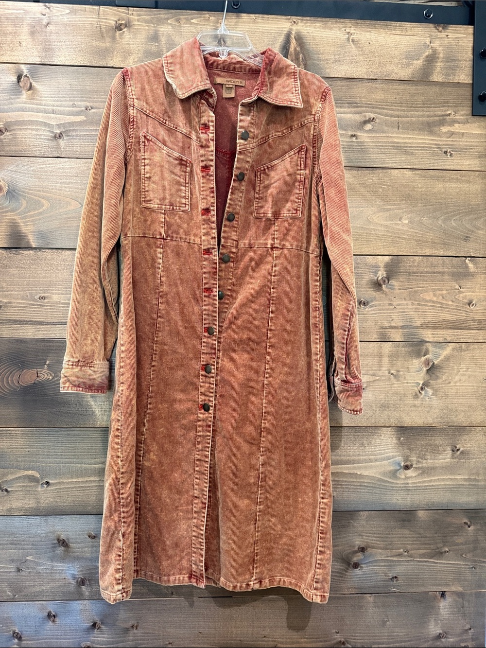 Arden B. Corduroy Button-Up Dress in Rust